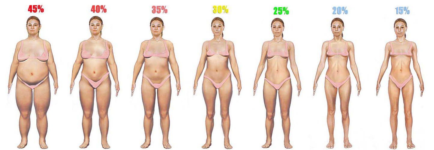 Female Body Fat Percentage Comparison [Visual Guide]