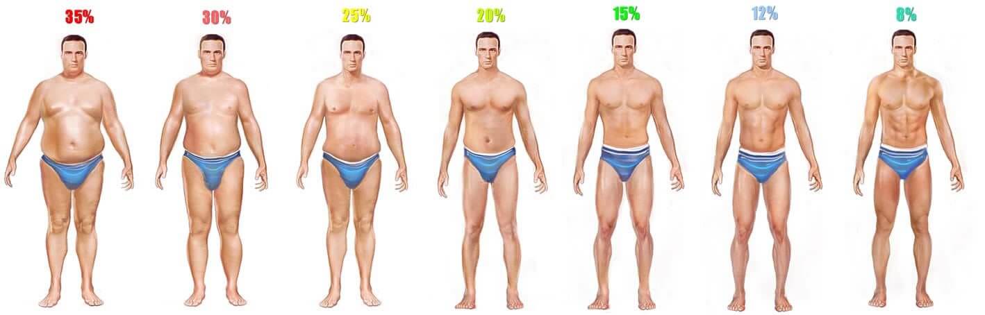images of body fat percentages