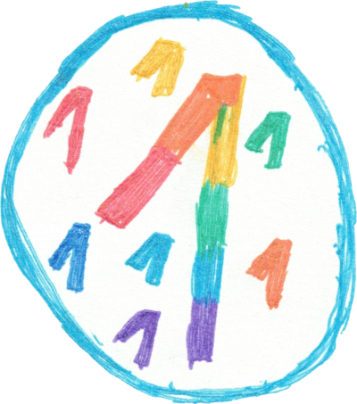 The oans logo: lots of small colorful ones around one big one, drawn by my daughter